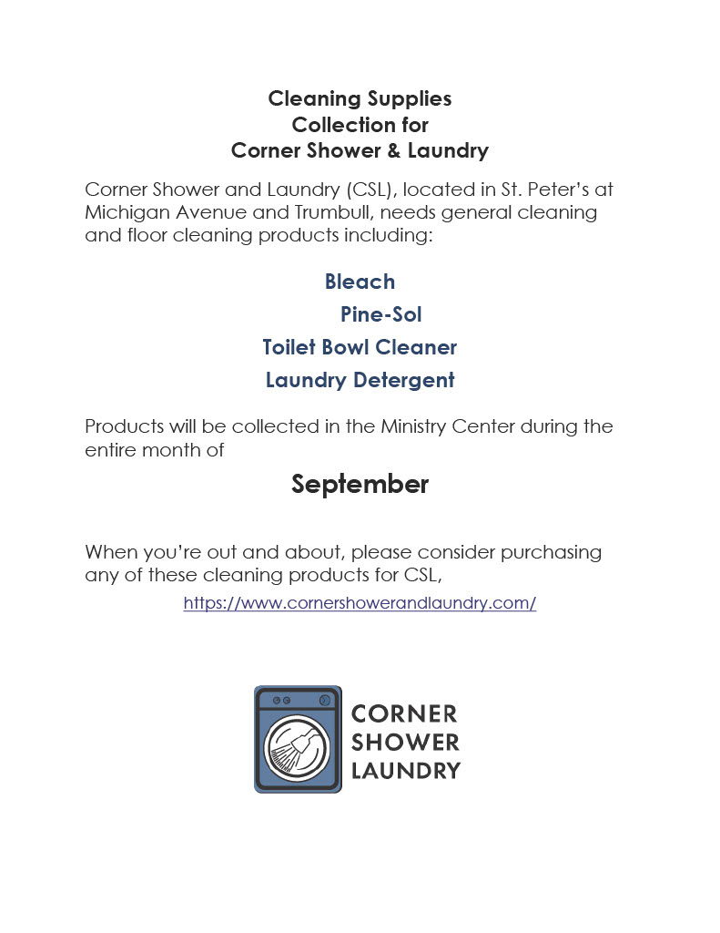 Cleaning Supplies for Corner Shower and Laundry
